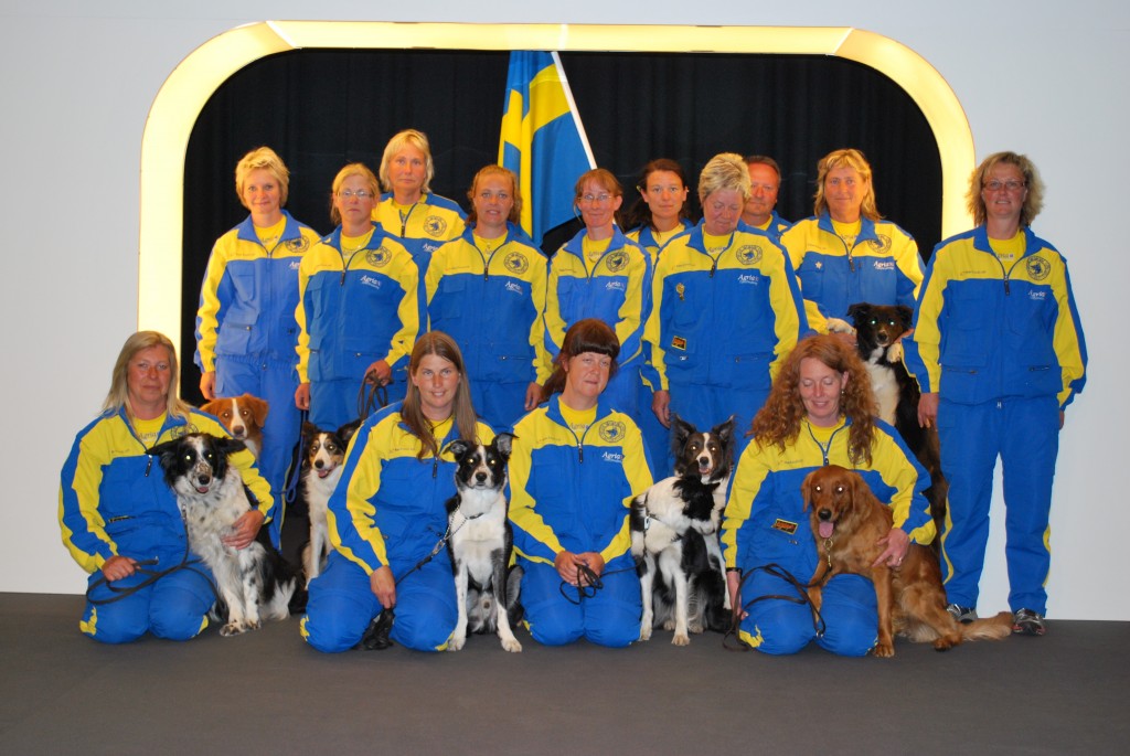 landslaget_vm_2010