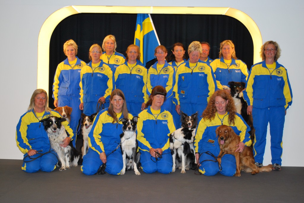 landslaget_vm_2010